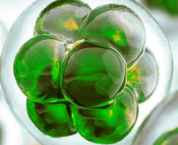 Cap Organic Solvents are produced in form of volatile fractions in refinery of crude oil. Hydrocarbon Solvents contain paraffinic, naphthenic and aromatic constituents in various proportions. Aliphatic &  Aromatic Solvents